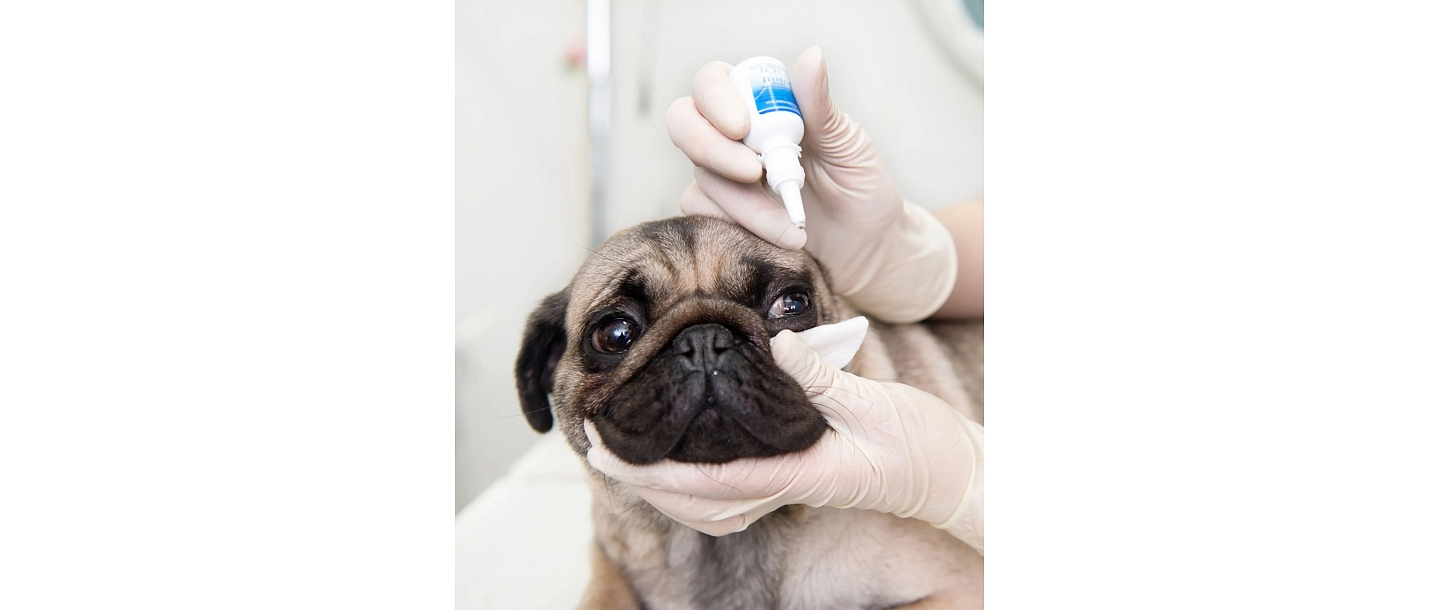 Офтальмологическое обследование и лечение