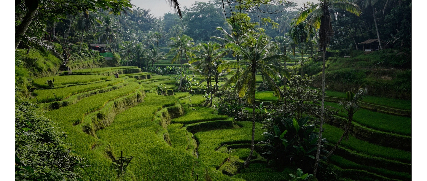 приключенческие путешествия