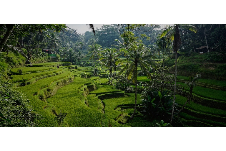 приключенческие путешествия