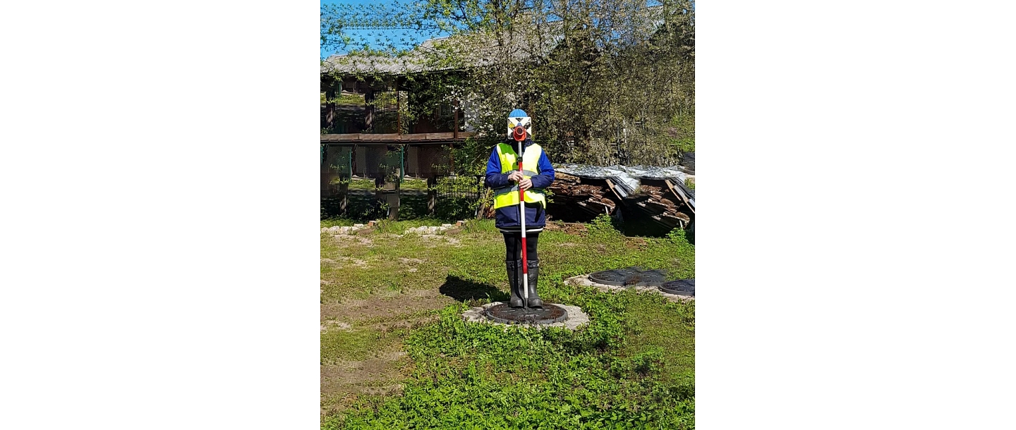 Surveying services
