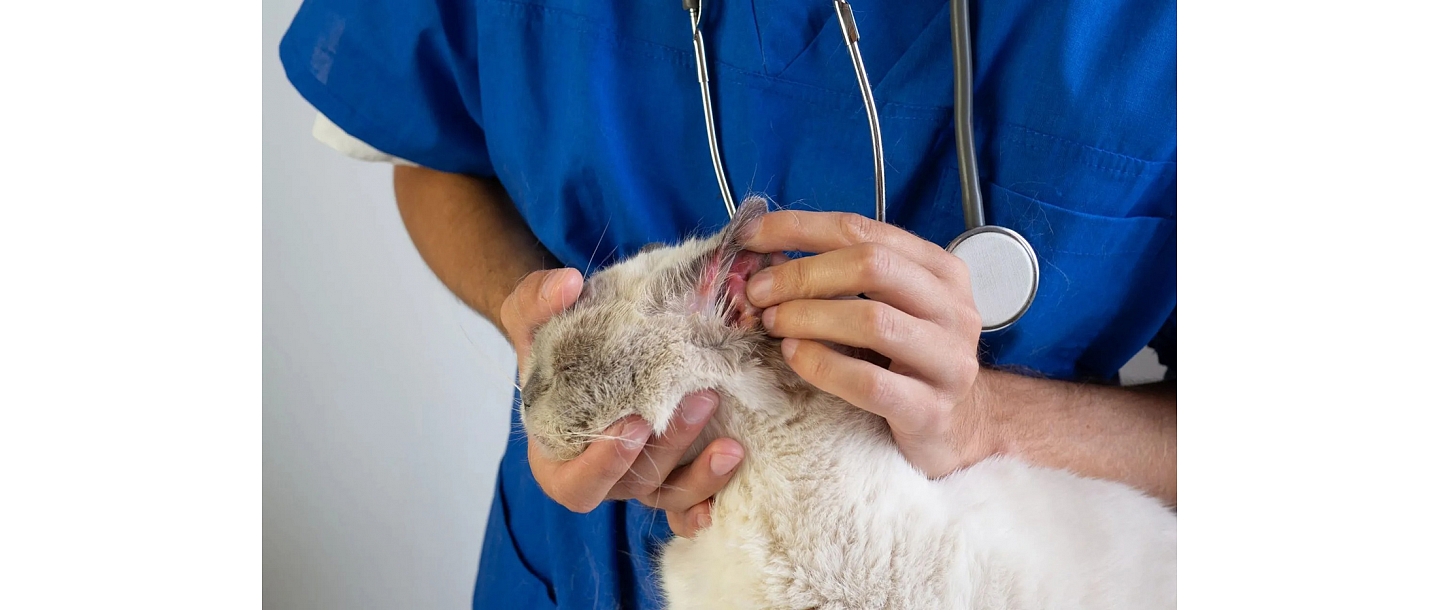 Laboratoriskā un dermatoloģiskā diagnostika