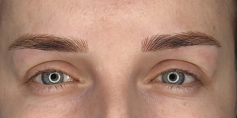 Permanent eyebrow makeup using hair technique