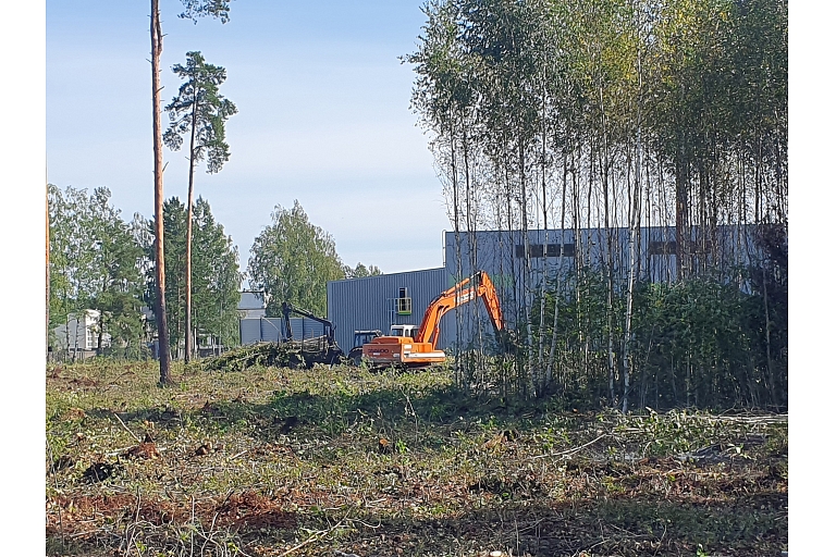 Mežizstrādes pakalpojumi