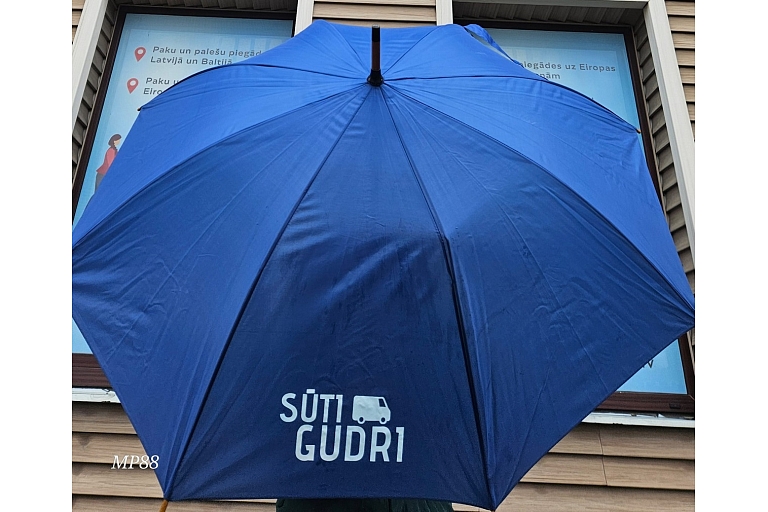 Sūti gudri