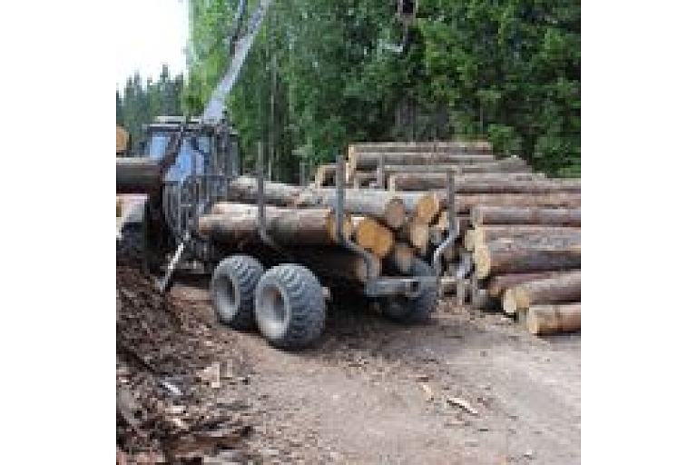 Timber equipment - moving saw logs
