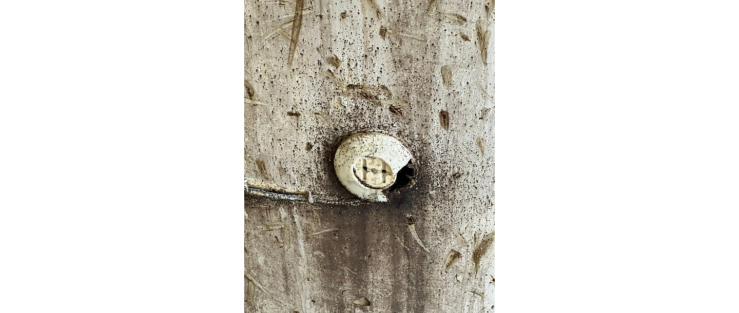 Insektu apkarošana