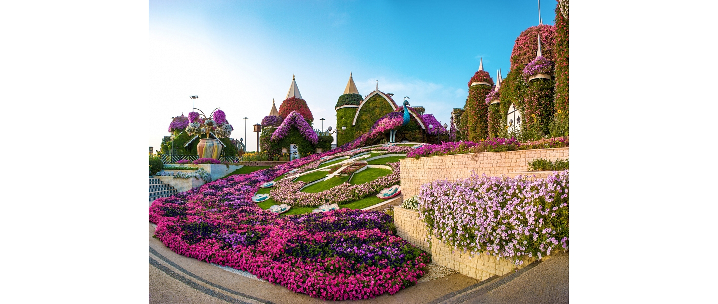 karstie piedāvājumi