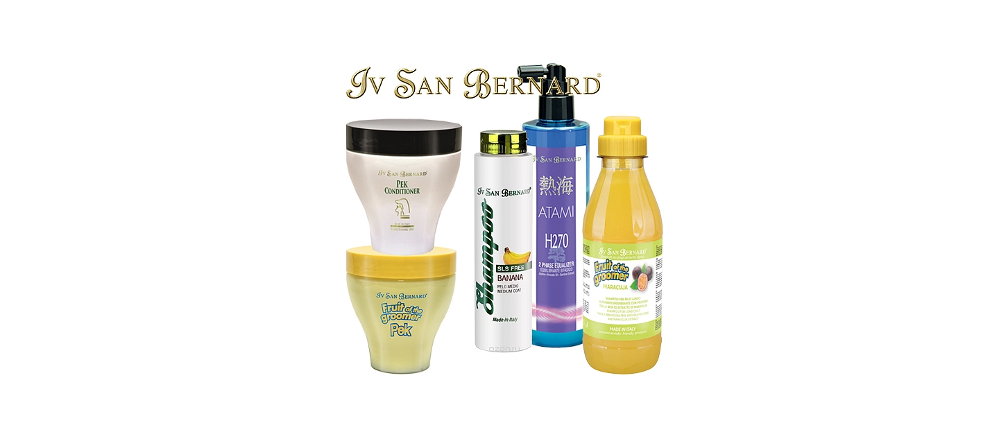 Iv San Bernard
