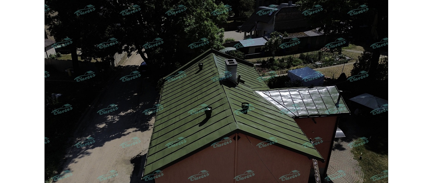 Roof painting
