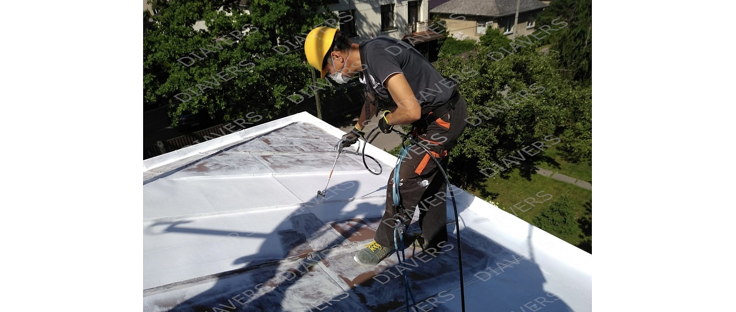 Roof painting