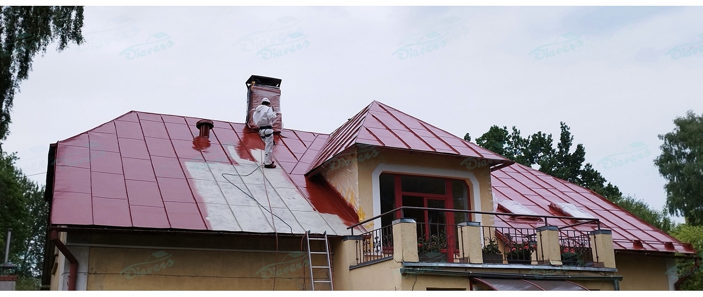 Roof painting