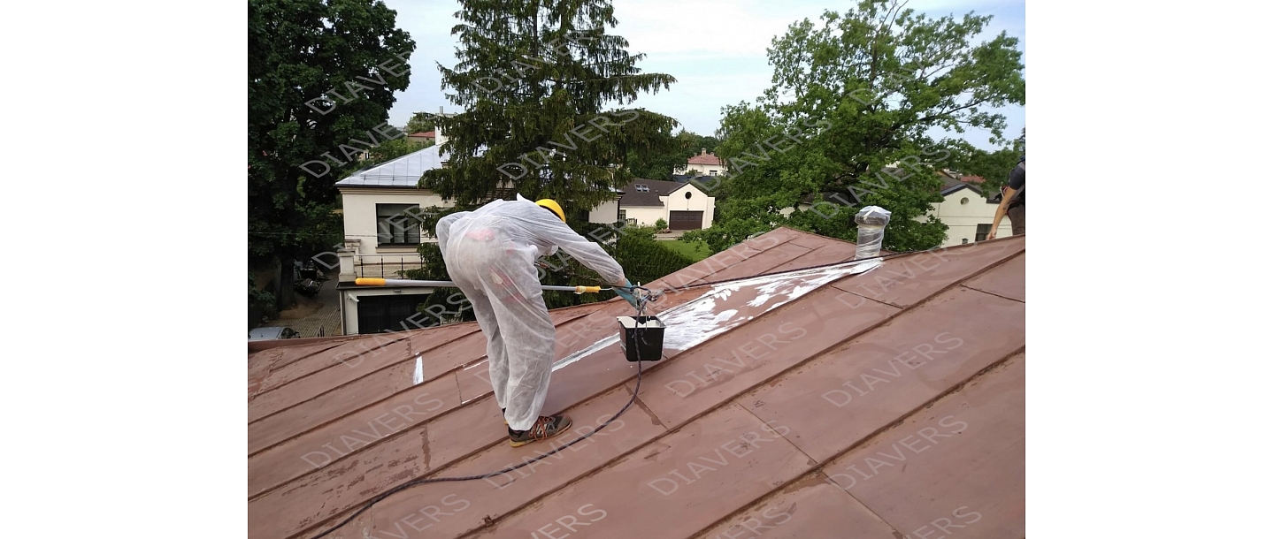Roof painting