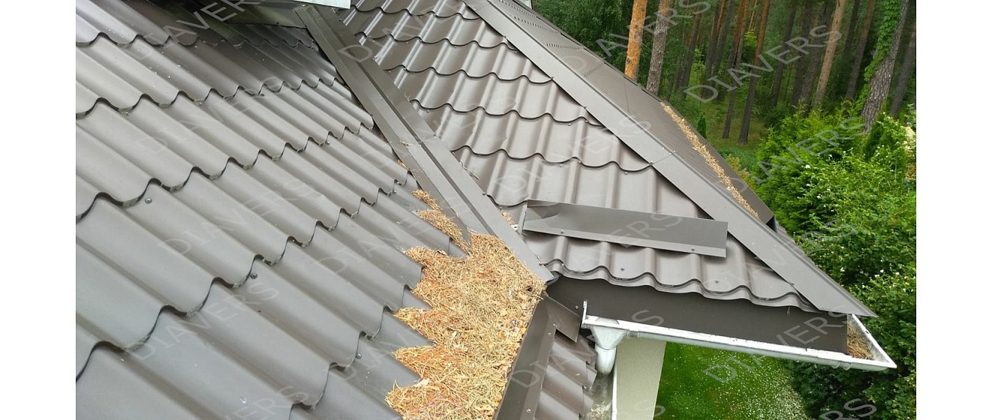 Roof washing
