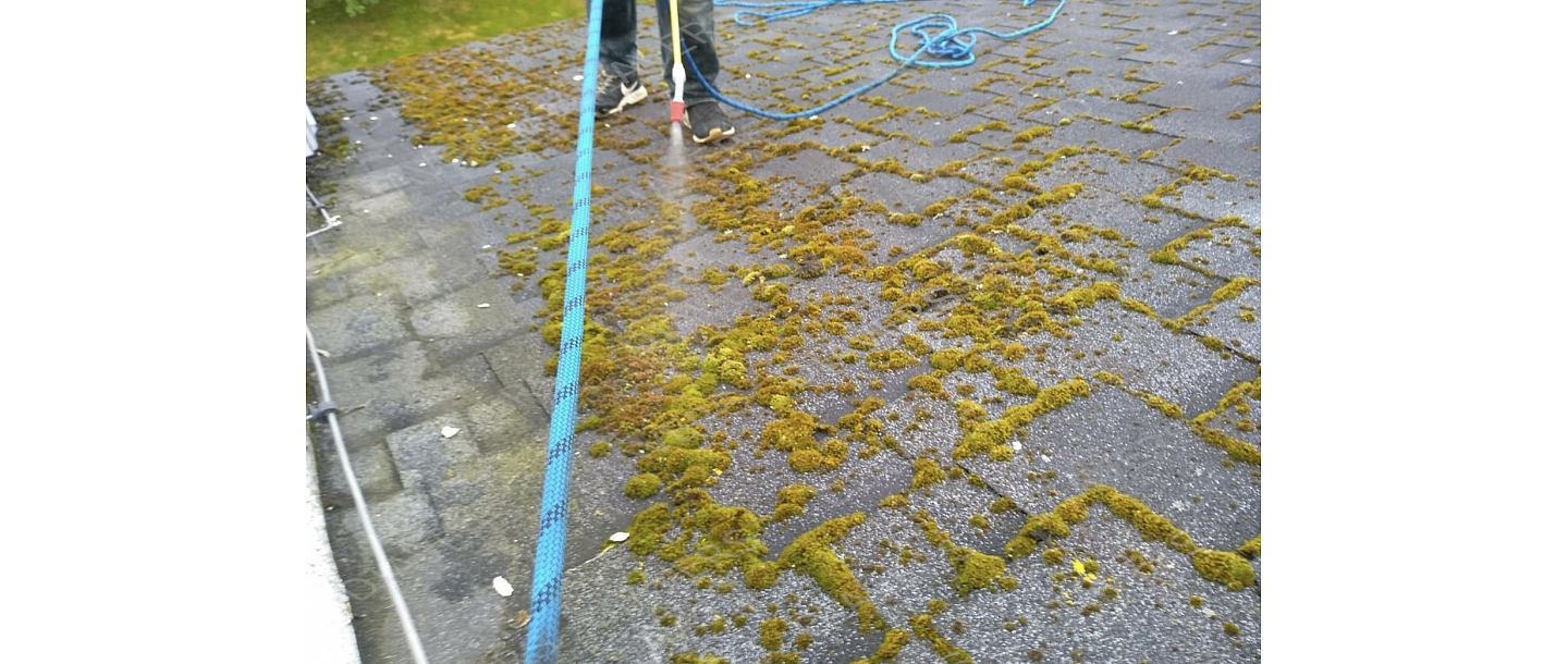 Roof anti-moss treatment
