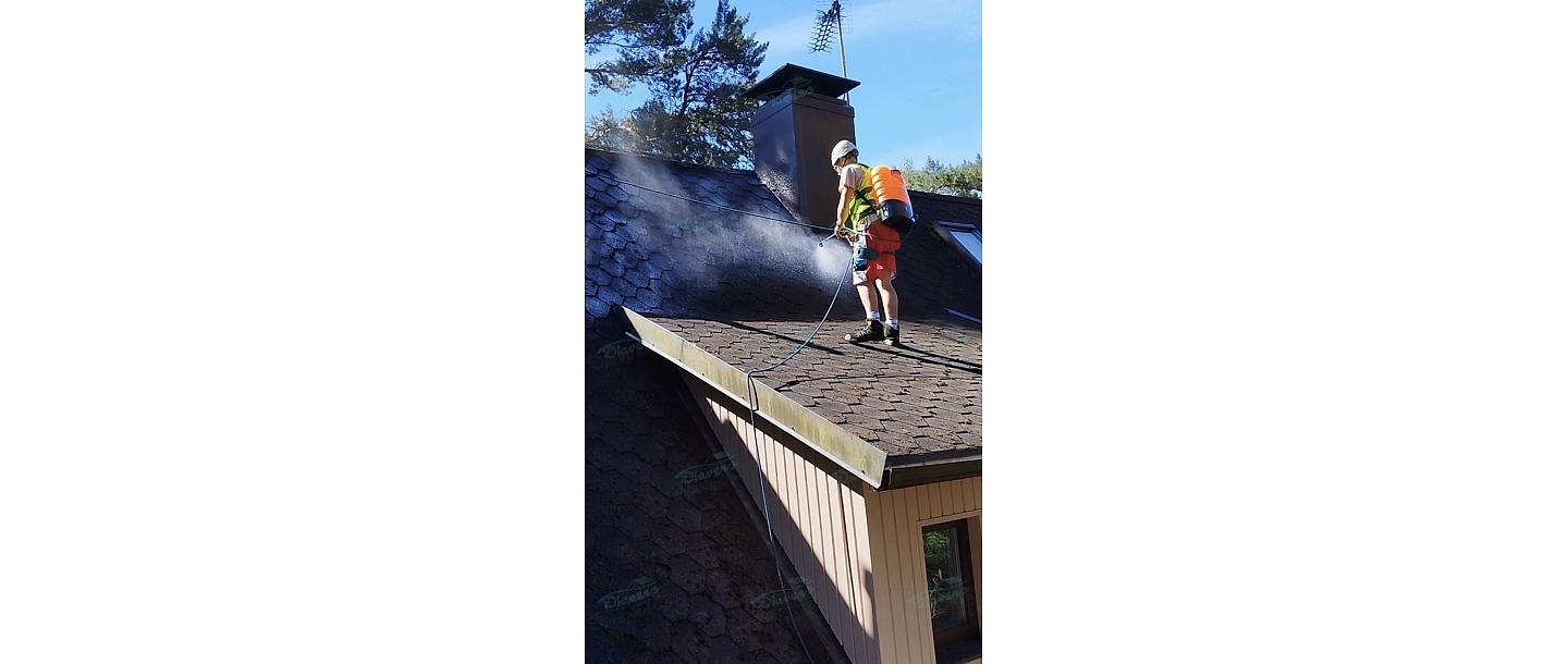 Roof anti-moss treatment
