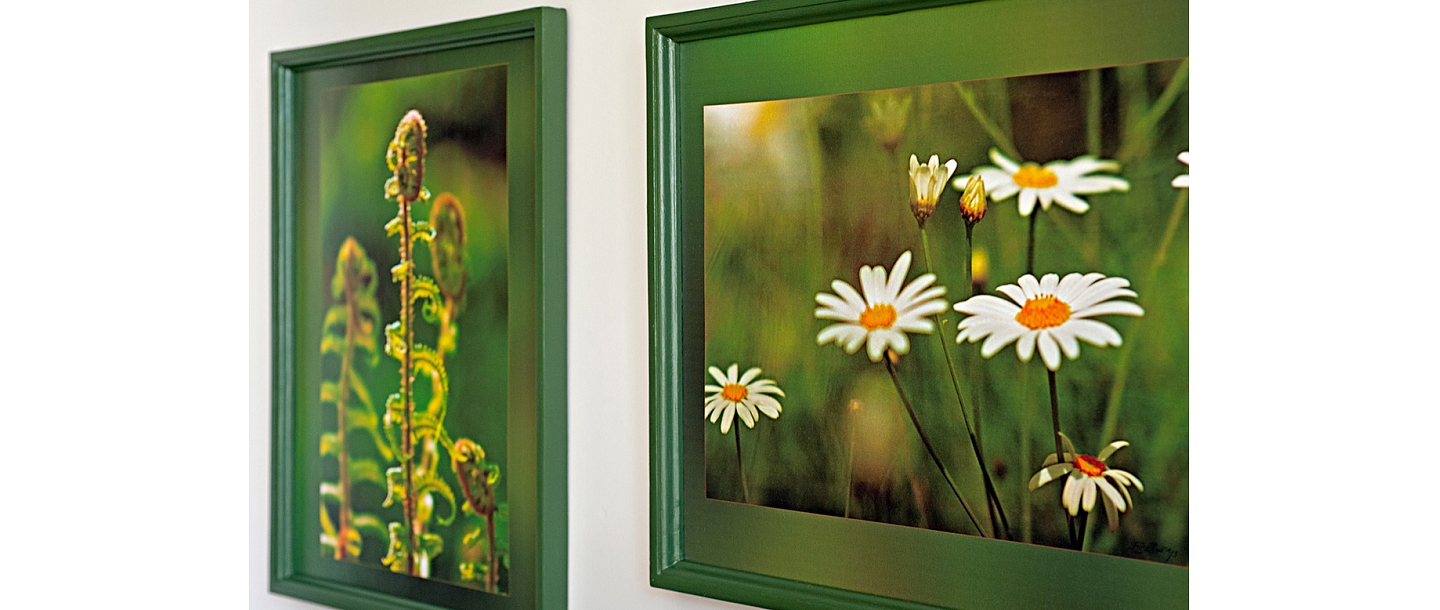 фото природы