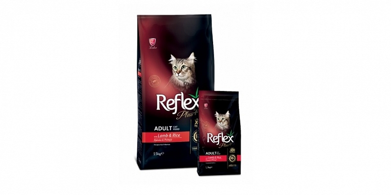 Food for cats