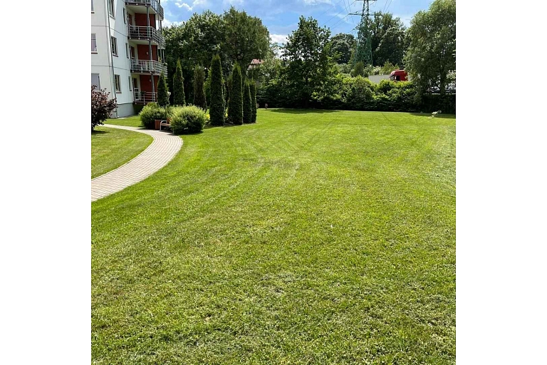 Lawn maintenance
