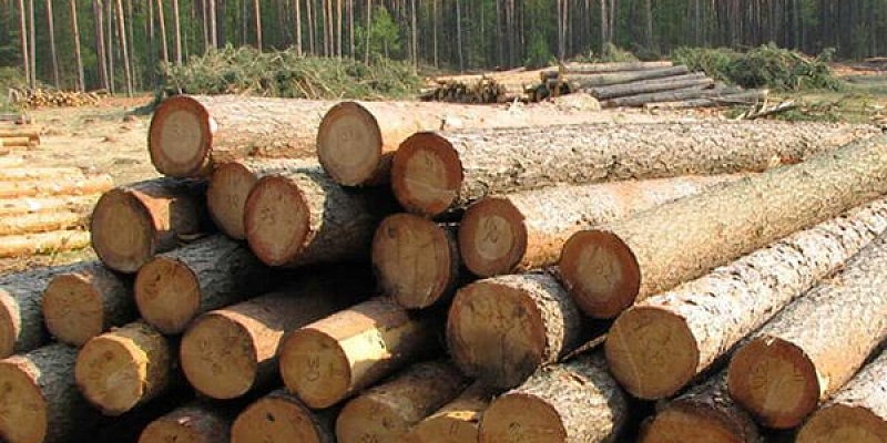 Purchase of wood materials