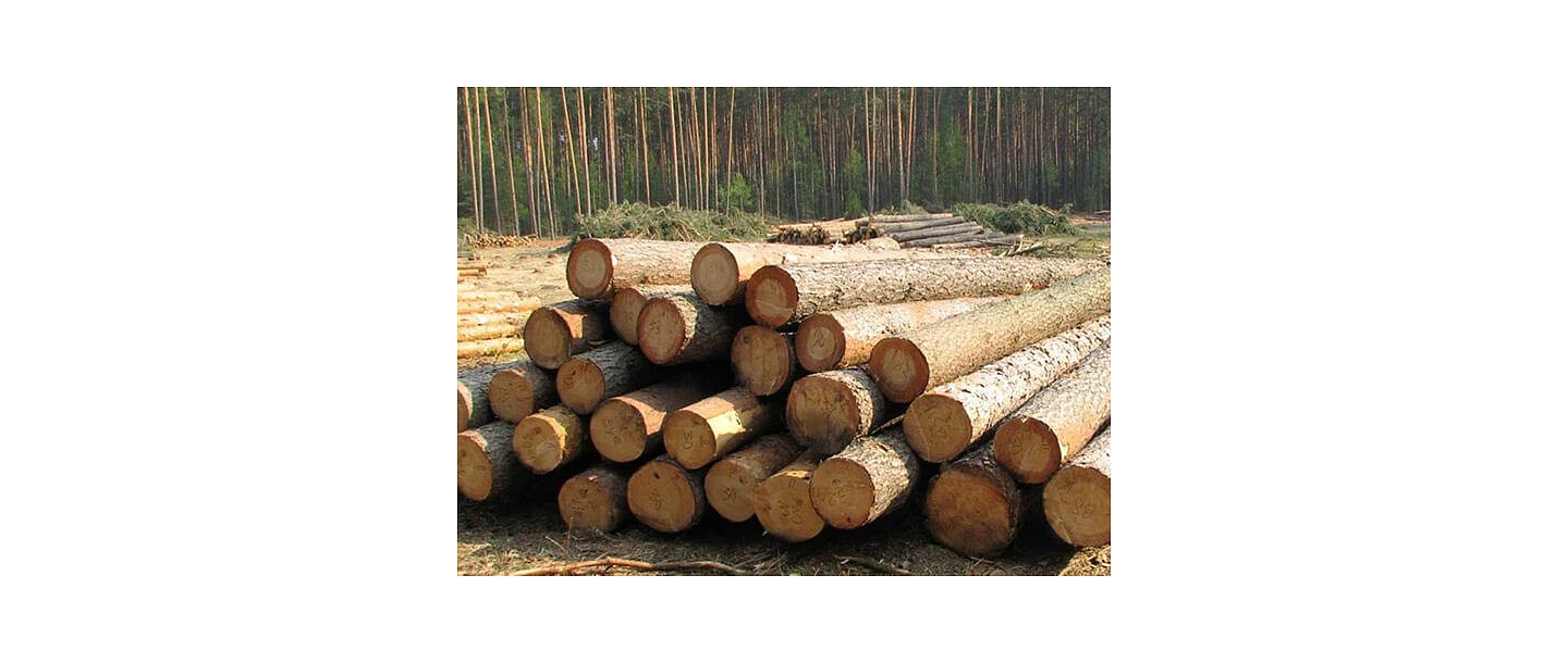 Sale of timber materials