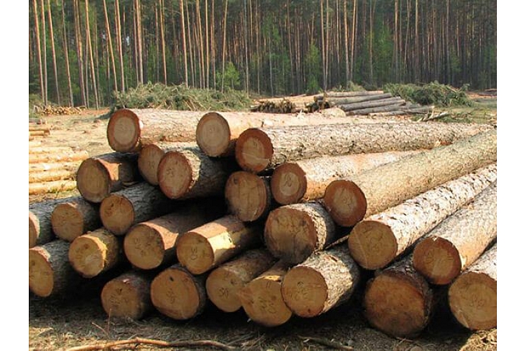 Sale of timber materials