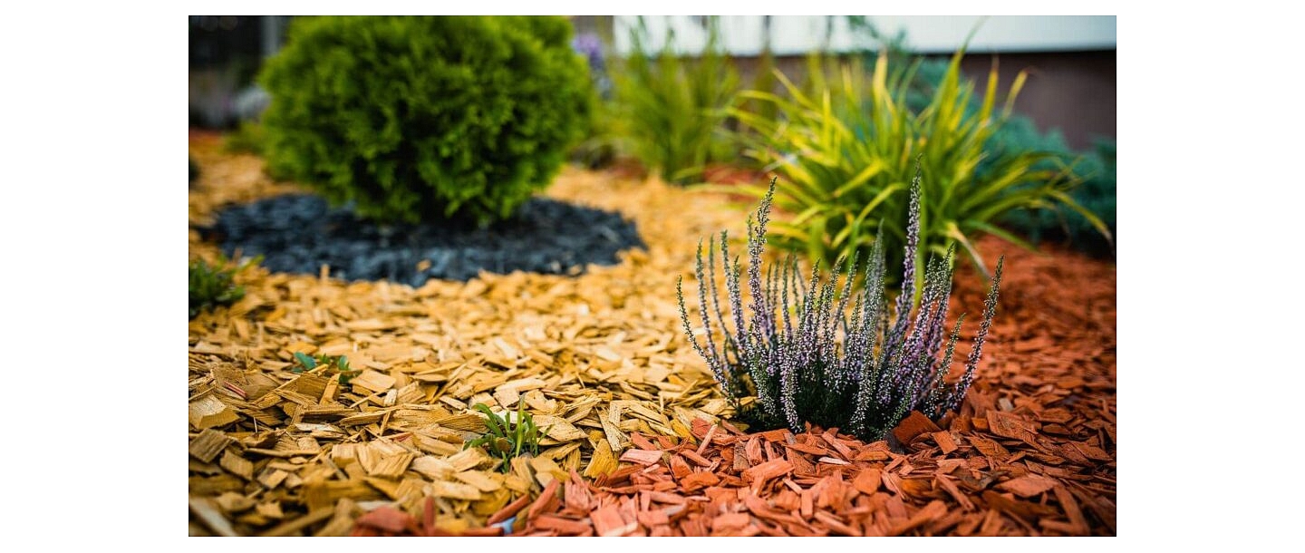 Mulch application