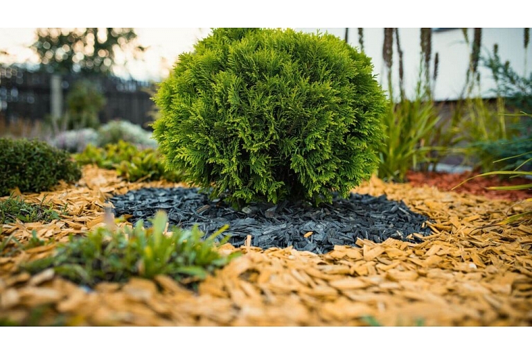 Mulch application