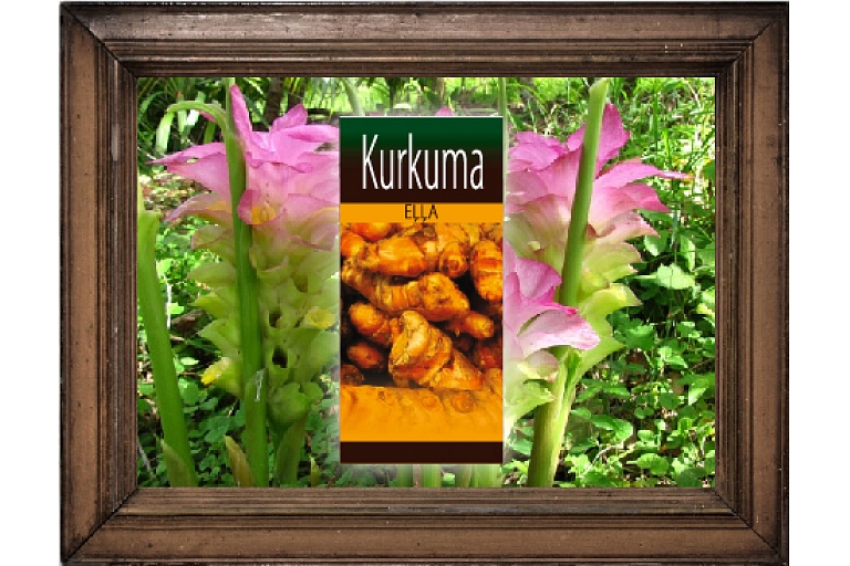 Turmeric oil
