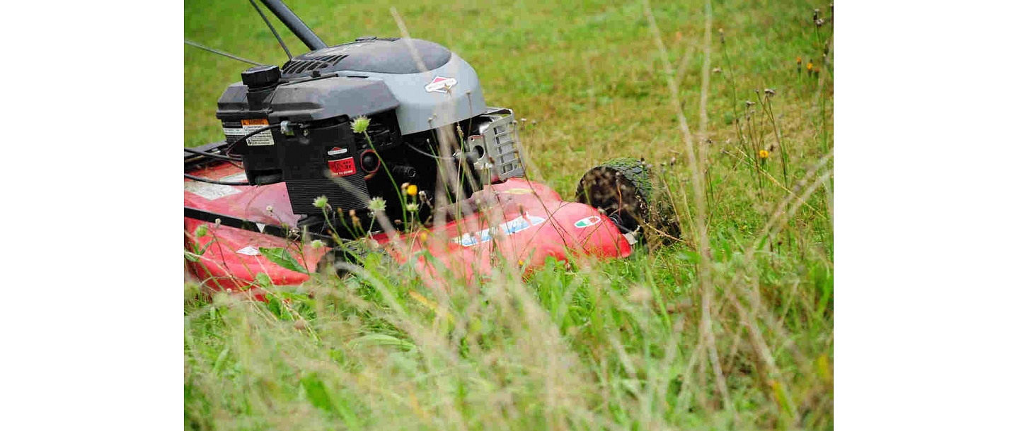 Lawn mower maintenance
