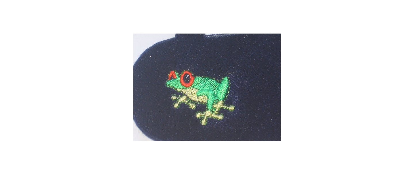 Embroidery with multi-colored threads