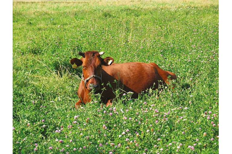 Biological farming