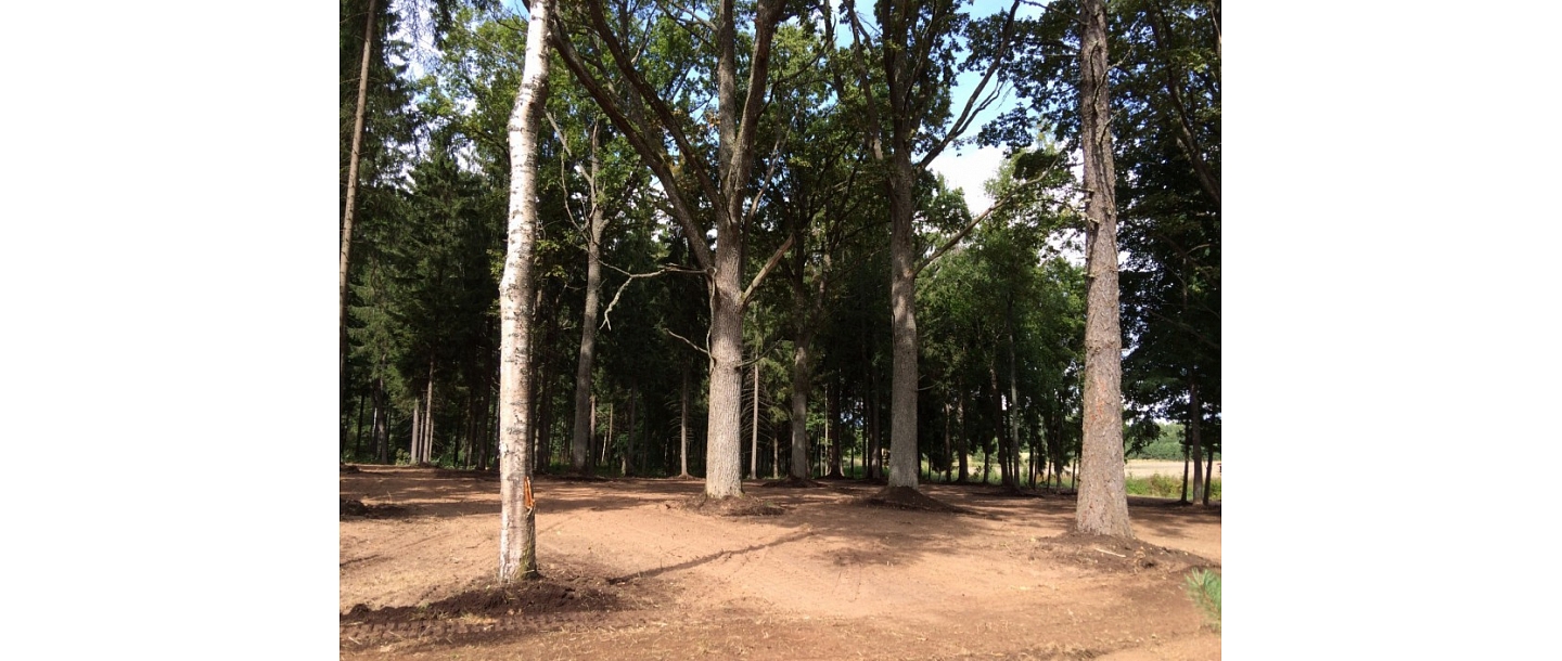 Park creation