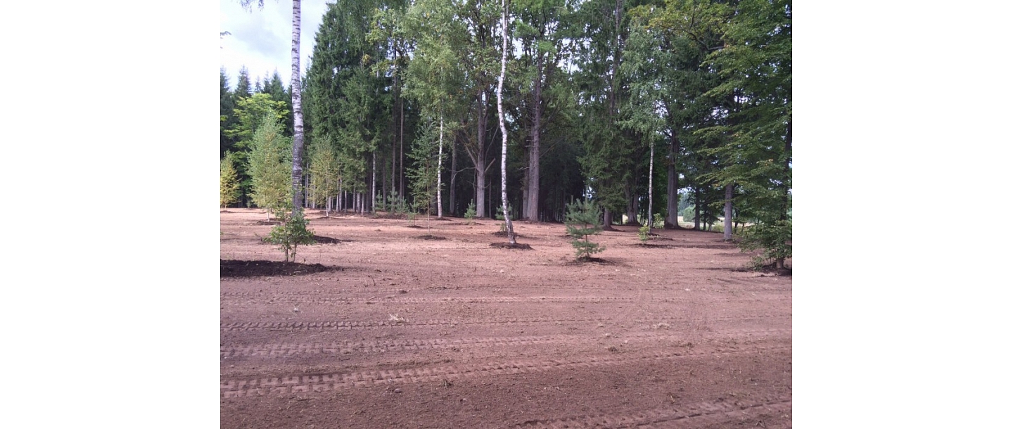 Laukuma līdzināšana