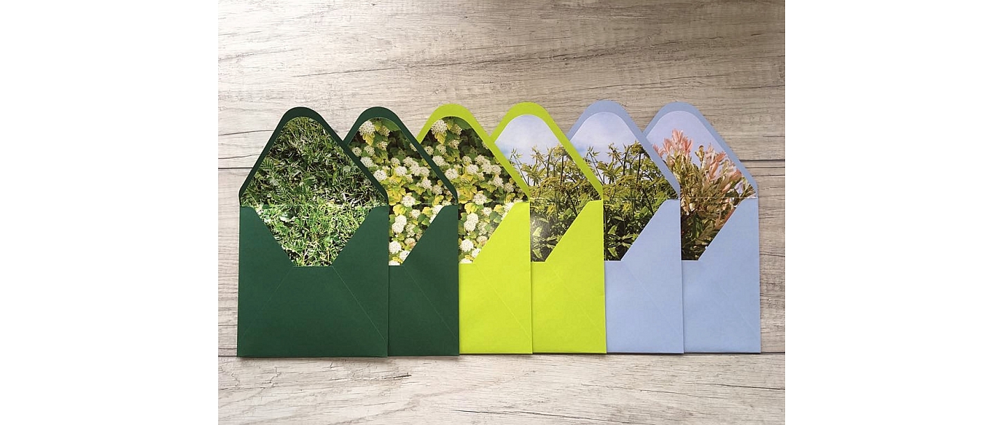 Envelope with lining