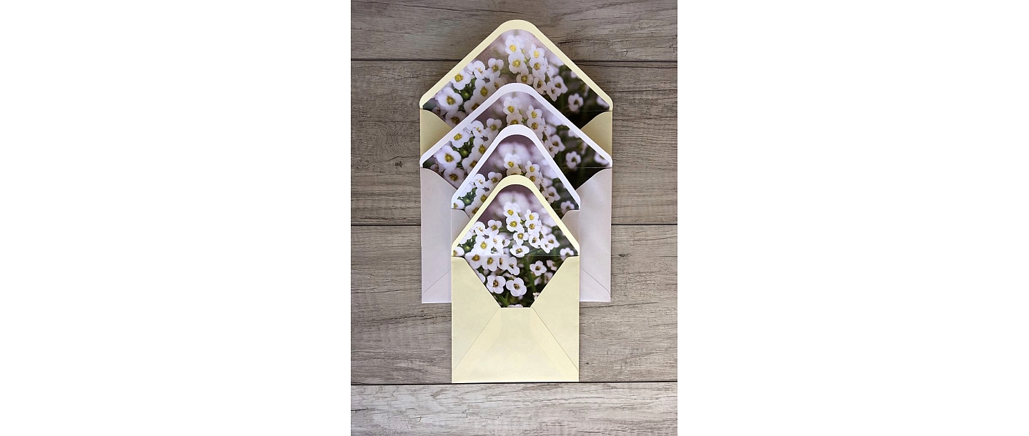 Envelope with lining