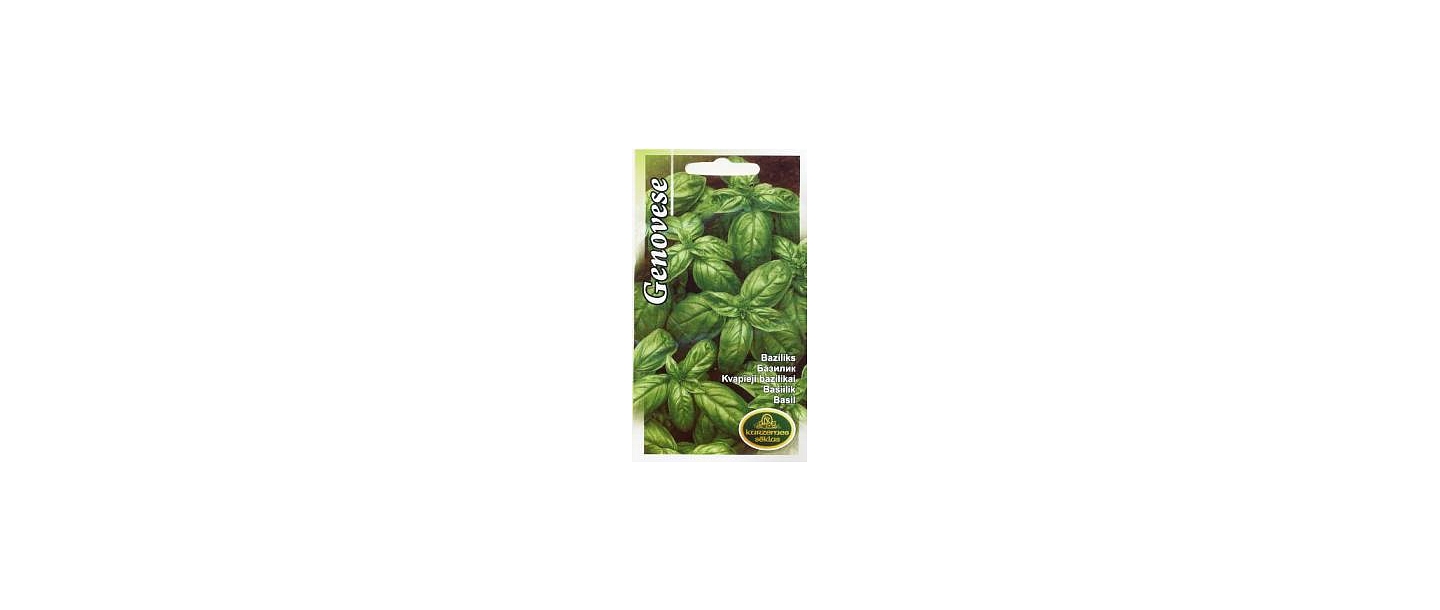 Basil. Vegetable, herb, lawn seeds