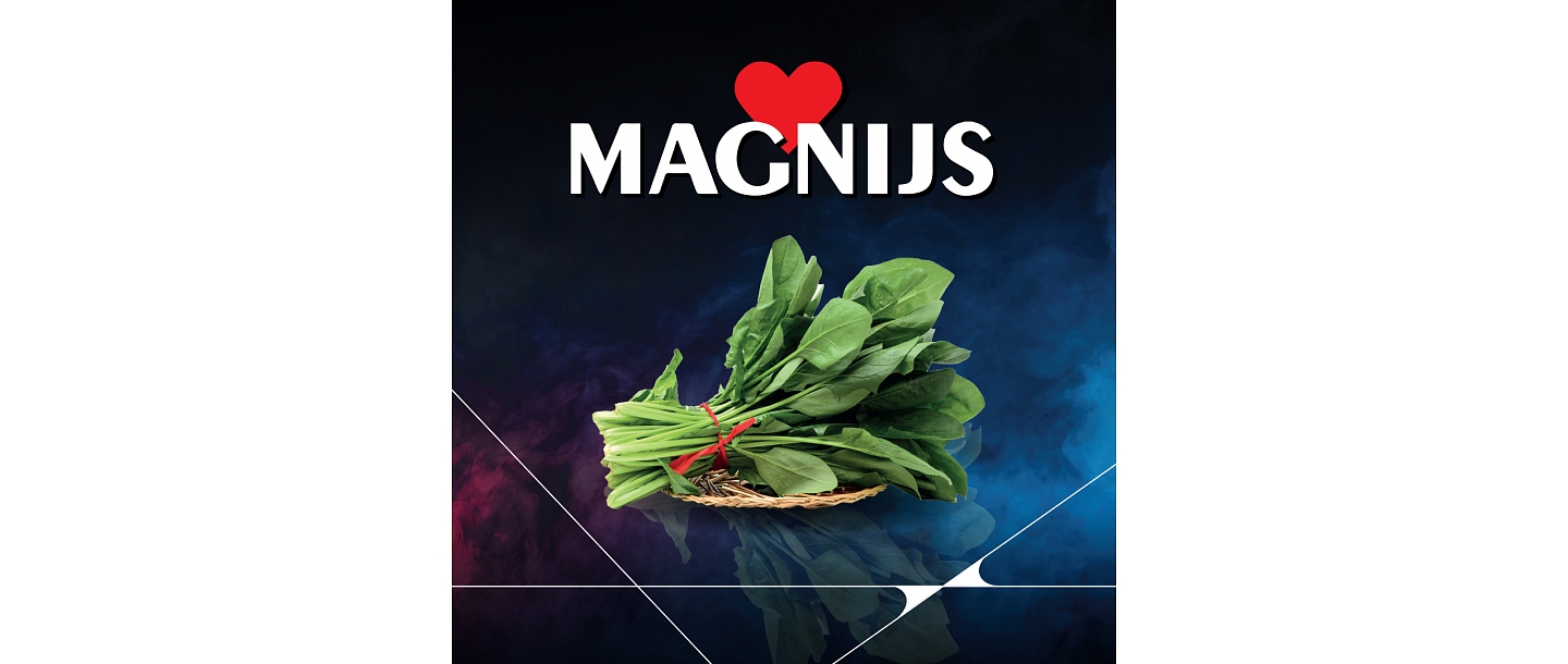 magnijs