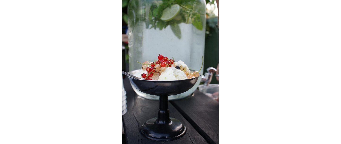 Healthy dessert with fresh berries