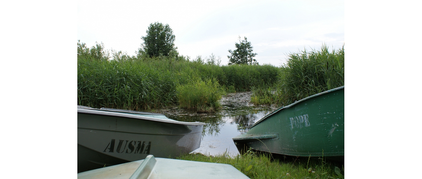 Отдых у воды