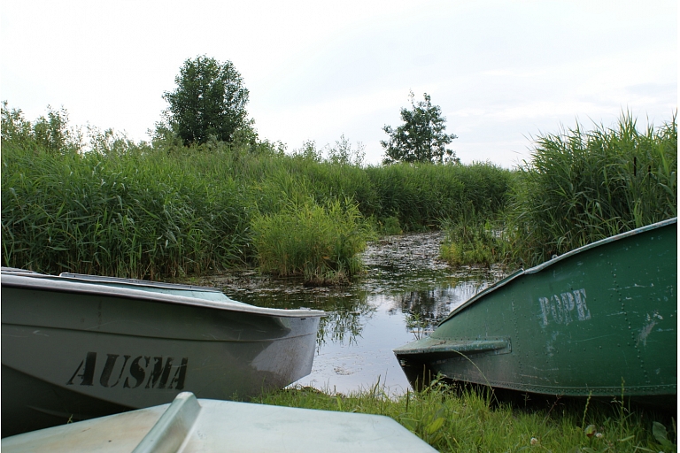 Отдых у воды