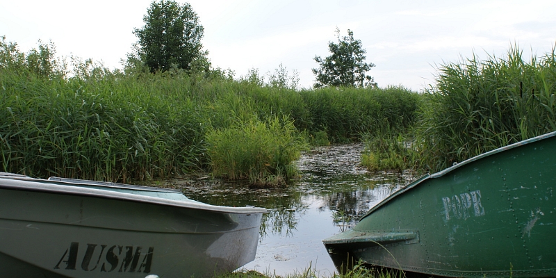 Прокат лодок и рыбалка