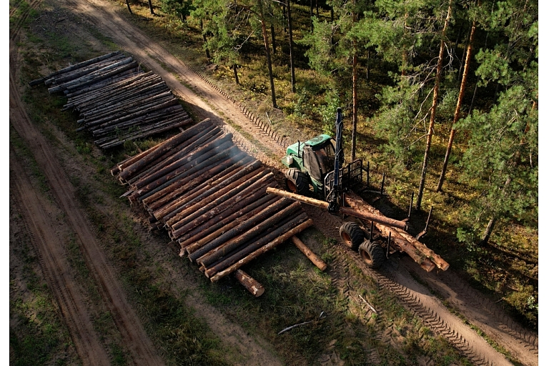 Forestry