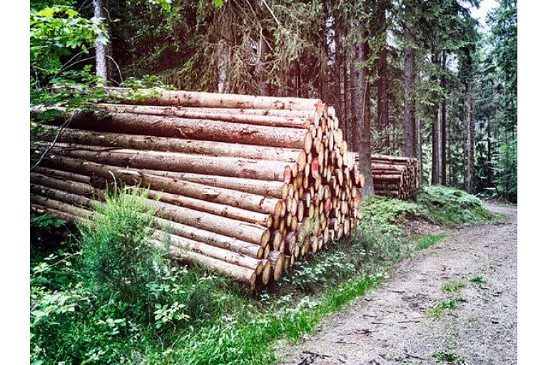 Logging