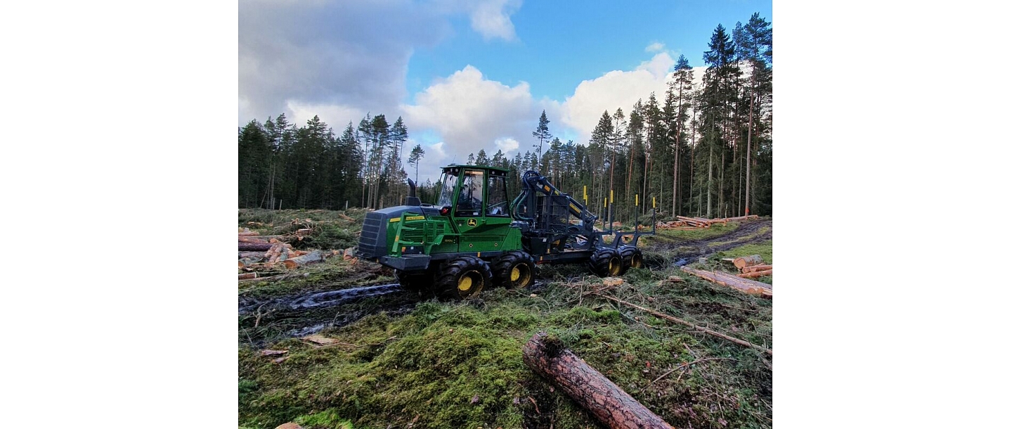 Услуги лесоразработки
