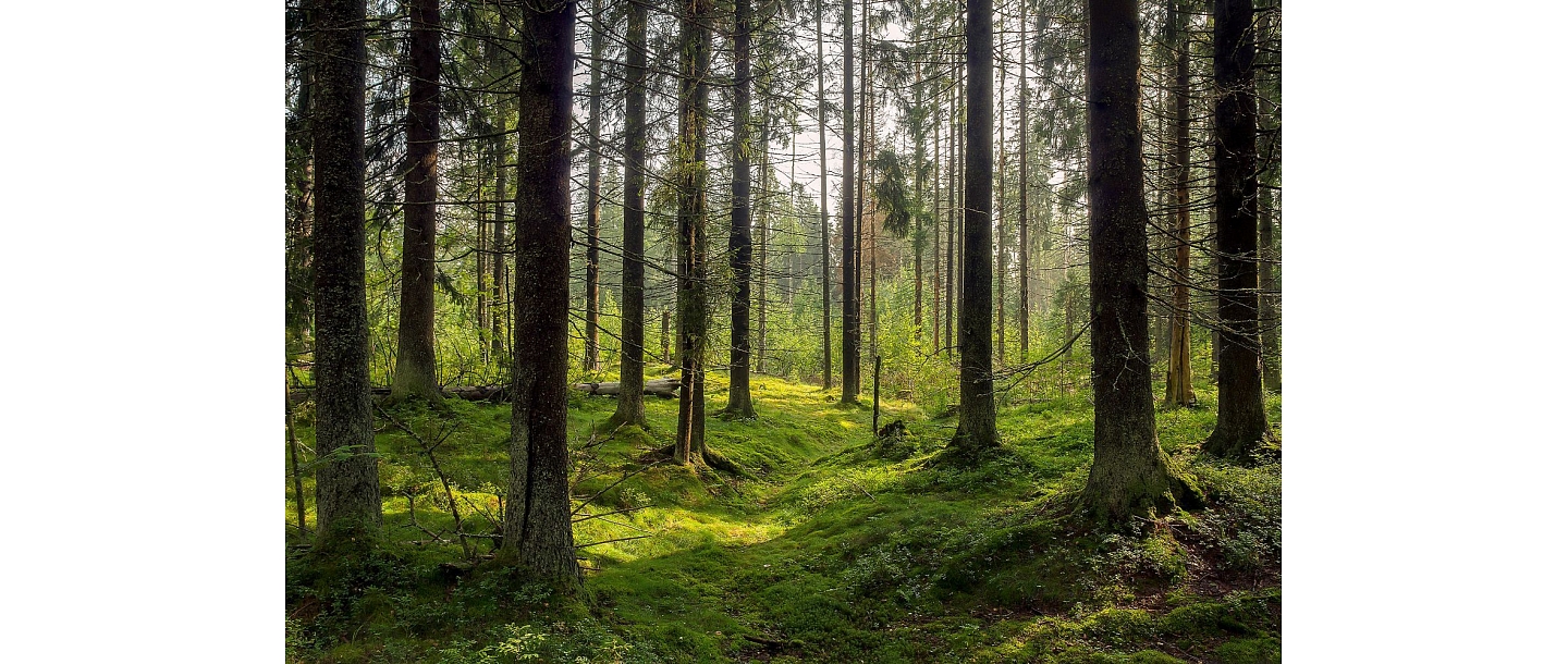Piedāvājam sertificēta mērnieka pakalpojumus