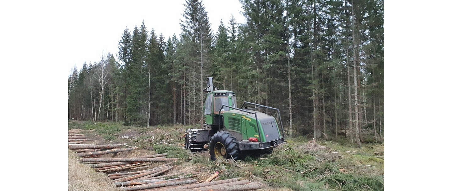 Forestry