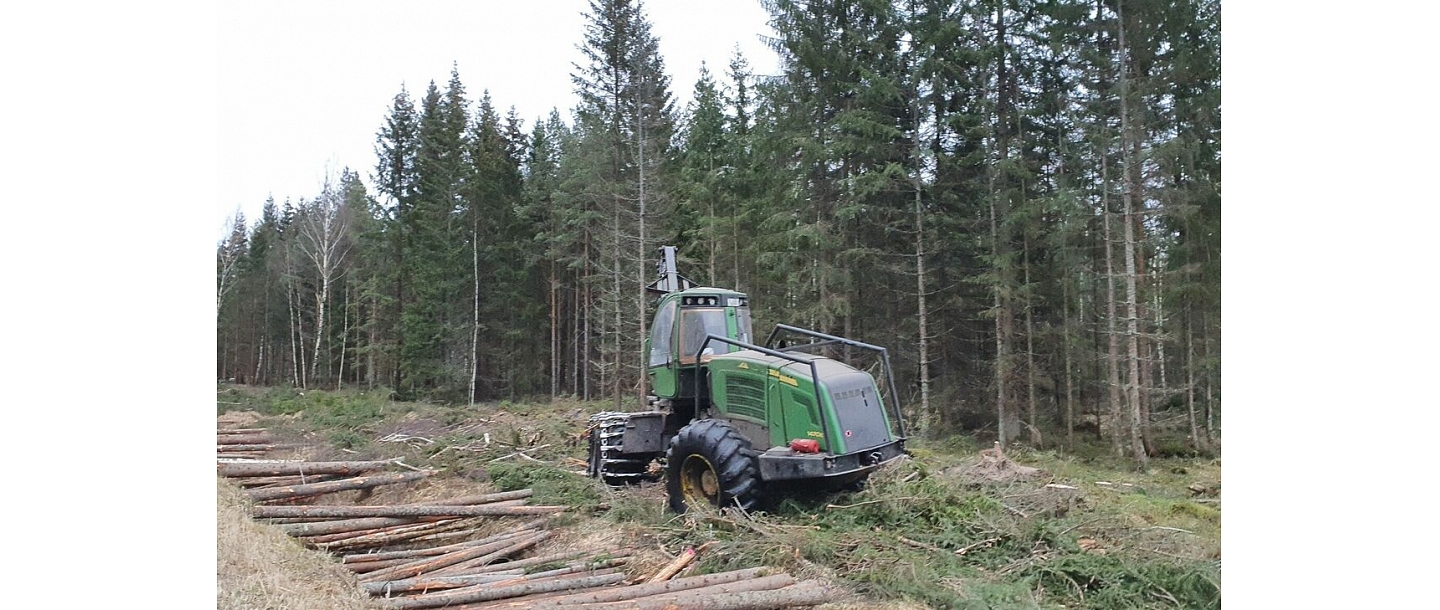 Лесное хозяйство