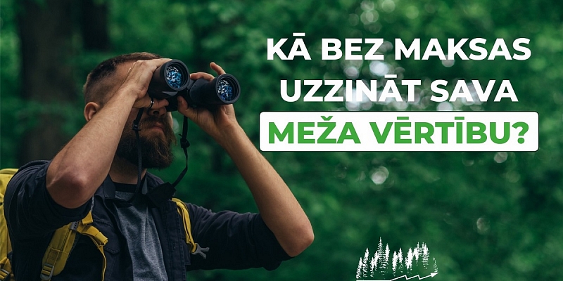 2023. gadā mežu un cirsmas reālo vērtību tagad var noskaidrot BEZ MAKSAS!
