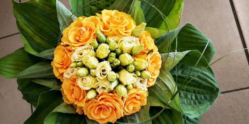 Флористика