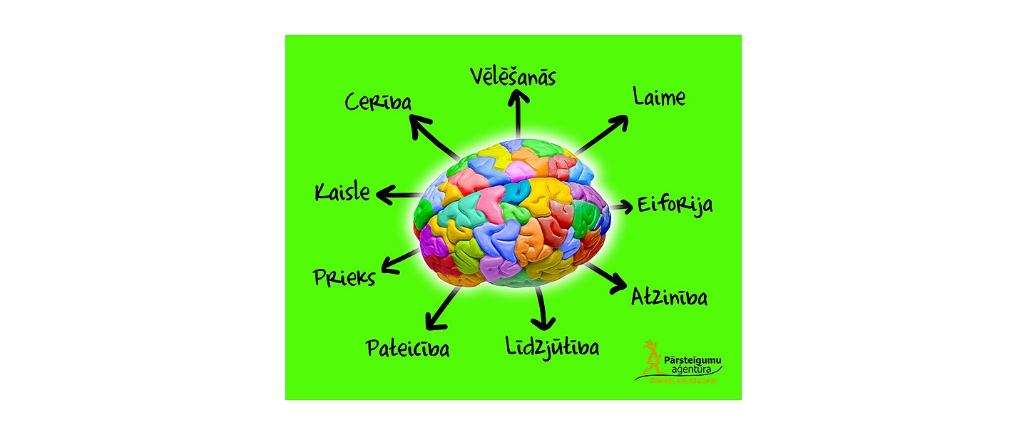 "Pārsteigumu aģentūra", original promotional gifts